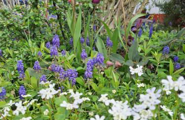 Ferienwohnung Viabella - Foto 14