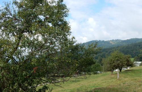 Holiday Home Vagney near Ski Gérardmer - Photo 24