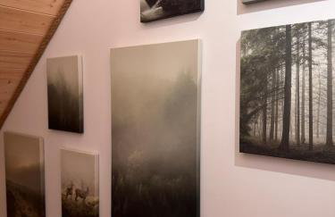 Forest Mood - Foto 54