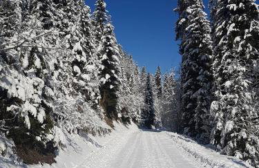 Skalny Zakątek z Grotą Solną na wyłączność - Foto 54