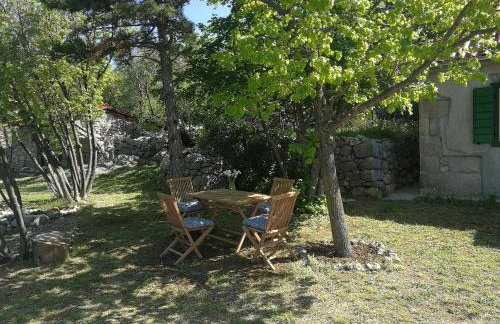 House Kaja - Photo 5