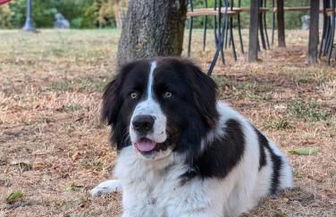 Agriturismo Fattoria Walden - Foto 47