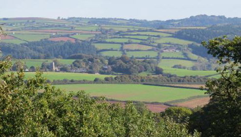 Buzzards Retreat - Foto 2