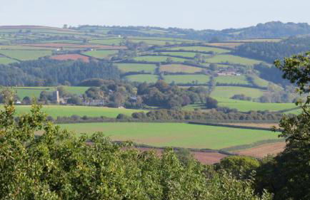 Buzzards Retreat - Foto 2