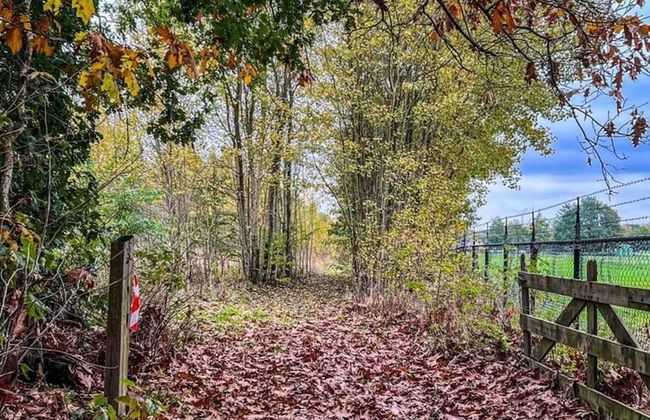 Cozy Holiday Home in a Lovely Environment - Photo 10