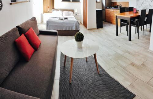 Apartamenty Świstak Maciej Dunajczan - Foto 55