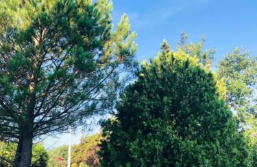 Cà de Anto - Foto 17