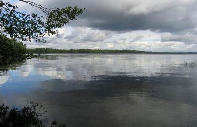 Niittymökki - Foto 14