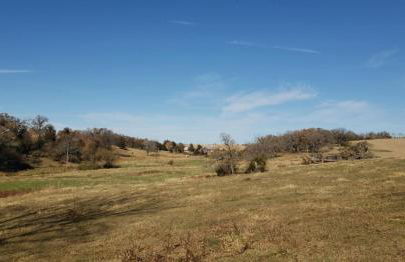 The Farmhouse ranch - Foto 33