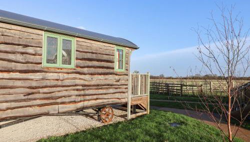 The Egyptologist - Foto 2