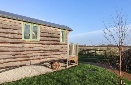 The Egyptologist - Foto 2