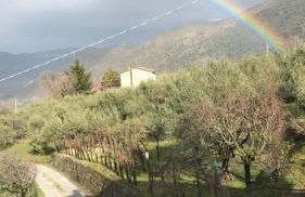 Agriturismo Terra Verde - Foto 22