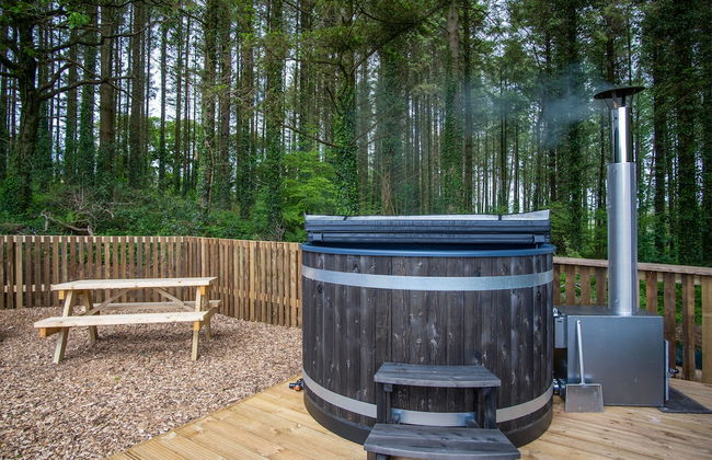 Cabin In The Woods - 1 Bed - Kilgetty - Foto 33