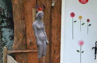 Casacoquelicot Un jardin sud-américain en Provence - Photo 33