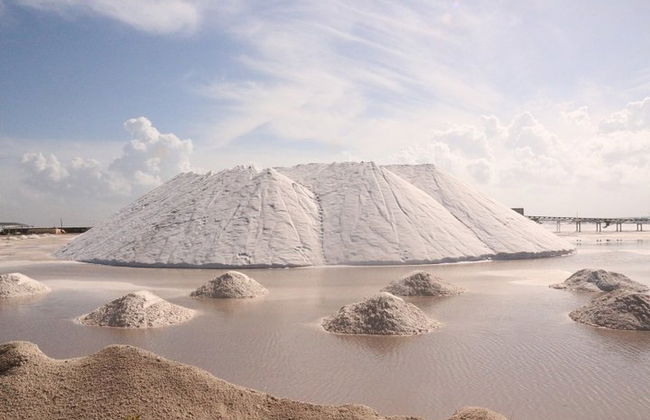 Paradiesische Tour: Las Coloradas Pink Lake und Rio Lagartos inklusive Mittagessen. - Foto 6