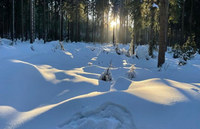Flat in Zwickau Near August Horch Museum - Foto 27