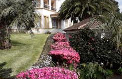 Quinta das Camélias - Açores - Photo 36