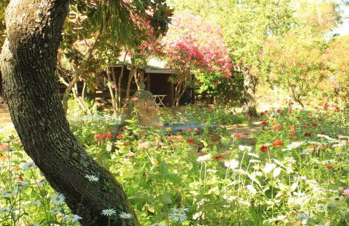 Résidence Marina Livia - Foto 13