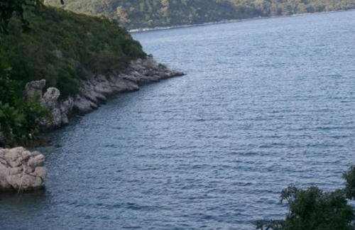 Apartments Laura - Mljet - Foto 35