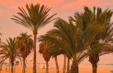 Beachfront apartment - Photo 13