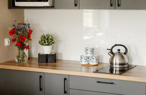 Domki Pod Łysicą- basen jacuzzi sauna - Foto 60