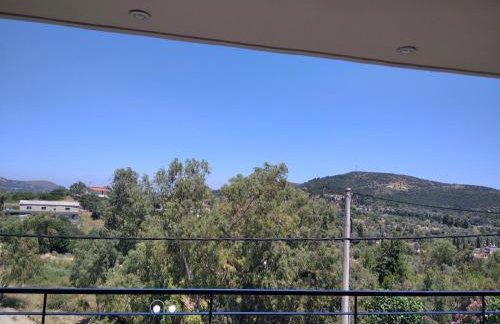 The Beekeeper's Apartment - Foto 13