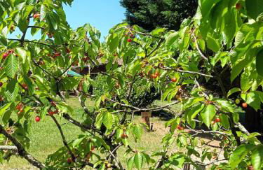 Gîte des Graves de Lilou - Foto 64