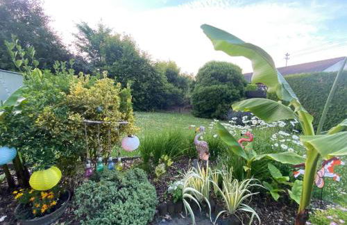 Ferienwohnung am Weinberg - Foto 10