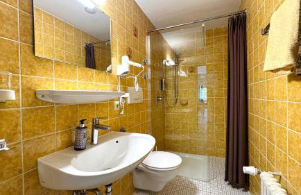 Haus Schanzenblick Fewo11 im Herzen des Schwarzwaldes - Foto 8