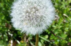 Harzquartier - Foto 47