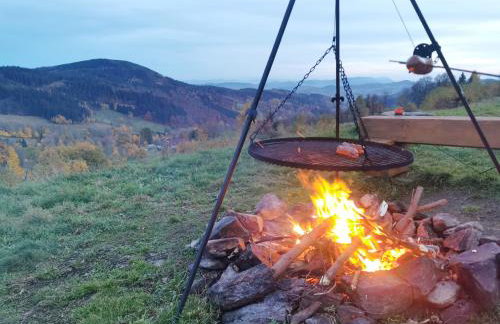 Orle Gniazdo - Foto 38