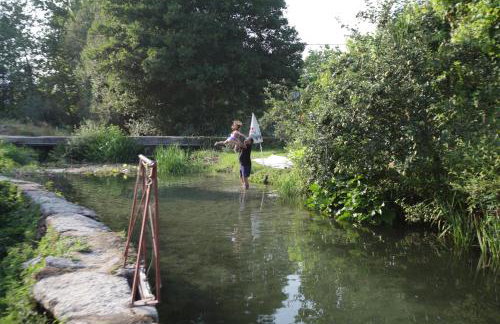 Casa da Eira "Lavoura da Bouça - Fruta Bio" - Foto 49