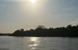 Casa na ilha do combu - Foto 9