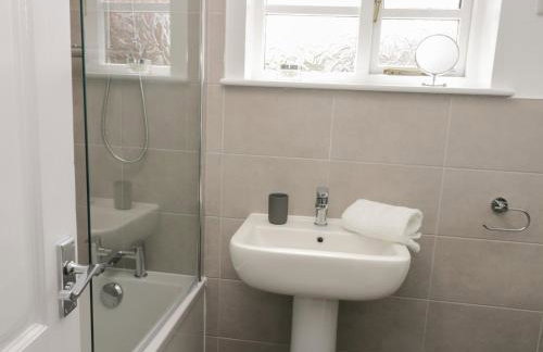 Dabbling Ducks - Foto 27