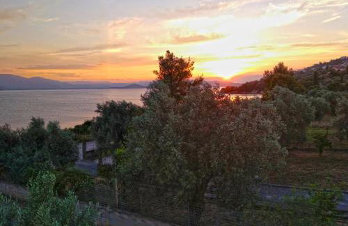 Theologos: Front Sea View Apartment - Foto 19