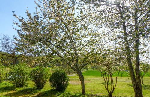 Holiday Home Monfort in Sainte-Mondane by Interhome - Foto 19