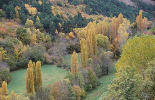 Turisme Rural Lo Pallé de Cal Bosch - Foto 62