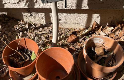 Serene Town home in Chandler with pool - Foto 57