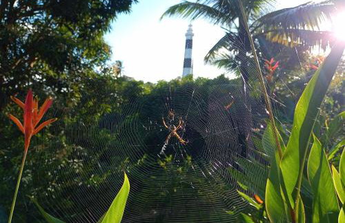 Olinda sítio Histórico Alto da Sé - Foto 60