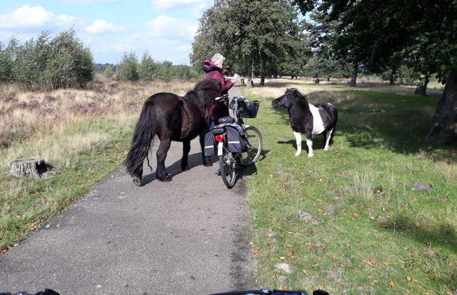 House in Hunzebergen Near Forest Trails - Foto 36