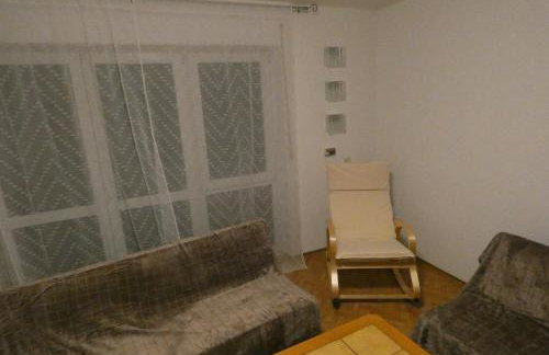 Weisses Huhn von Moschendorf - Photo 28