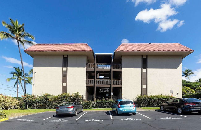 Kona Mansions 5-minute Walk to Honls Beach - Foto 21