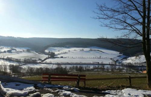 Gemütliche Wohnung Rothaarsteig Ski Sauna Ruhrtal Green Hill - Foto 8