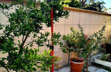 Villa Carrieri - Foto 53