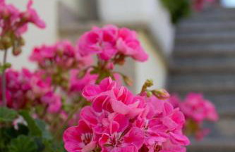 Apartment Kris - Foto 34