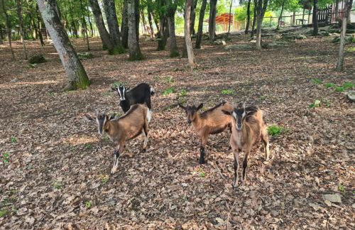 La Noce di Creta - Foto 20