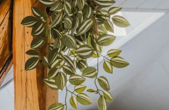 STAYLIGHT Penthouse in Hildesheims Philosophen Viertel - Foto 13