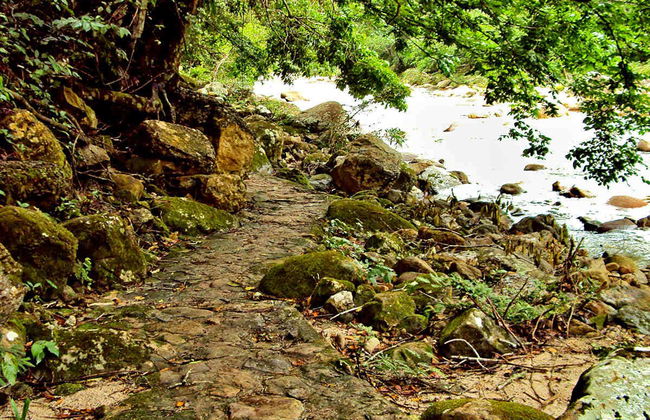 Trilha pela catarata de Huacamaillo - Foto 4