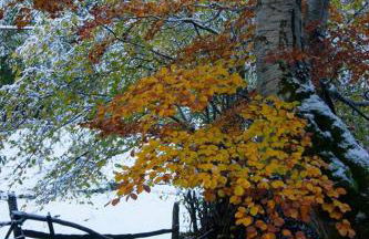 Apartamentos Rurales Casa Marcelo II - Foto 59