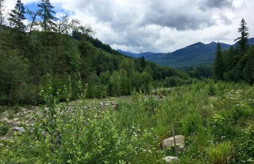 76GS - Genuine Log Cabin - WiFi - Pets Ok - Sleeps 4 home - Foto 62